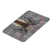 Hühnchen mit Reflektionen Magnet (Linke Seite)