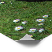 Hühnchen Poster (Ecke)