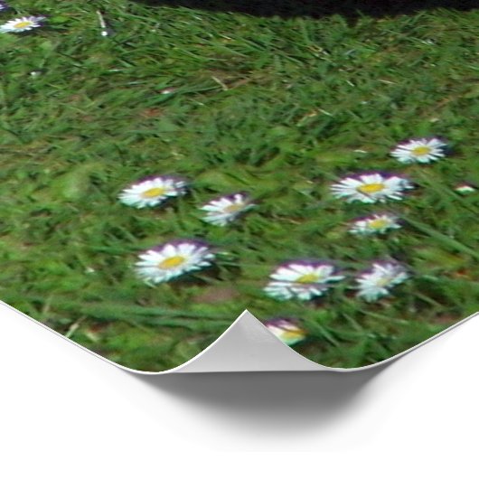 Hühnchen Poster (Ecke)