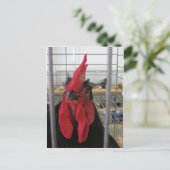 Hühnchen Postkarte (Stehend Vorderseite)