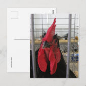 Hühnchen Postkarte (Vorne/Hinten)