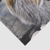 Hühnchen, Tissue Seidenpapier (Detail)