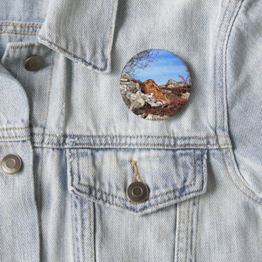 HÜHNE BUTTON (Beispiel)