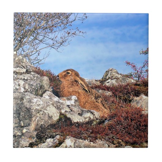 HÜHNE FLIESE (Vorderseite)