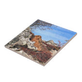 HÜHNE FLIESE (Seite)