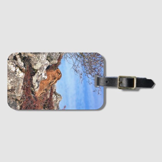 HÜHNE GEPÄCKANHÄNGER (Vorderseite (Horizontal))