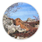 HÜHNE KERAMIKKNAUF (Vorderseite)