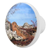 HÜHNE KERAMIKKNAUF (Rechts)