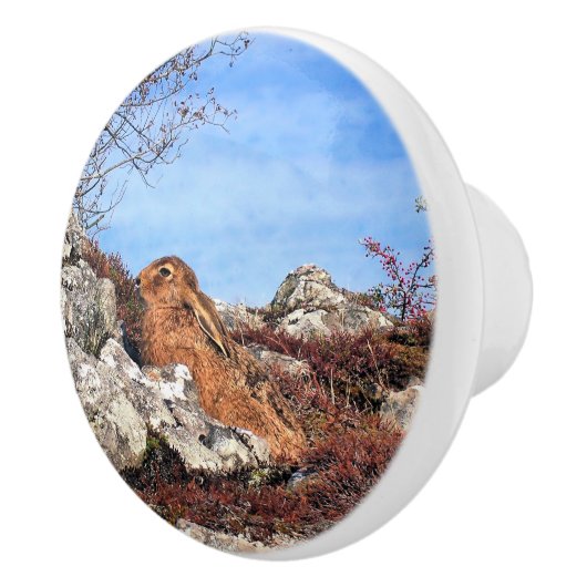 HÜHNE KERAMIKKNAUF (Rechts)