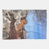 HÜHNE KÜCHENTUCH (Horizontal)