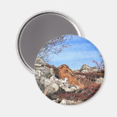 HÜHNE MAGNET (Vorderseite/Rückseite)