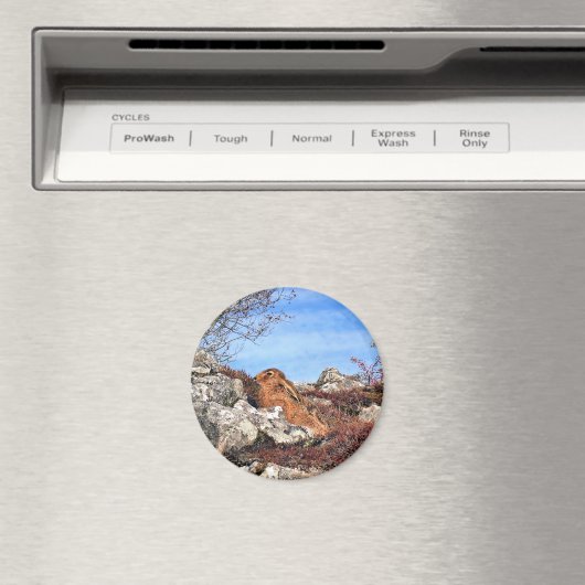 HÜHNE MAGNET (In Situ (Geschirrspüler))