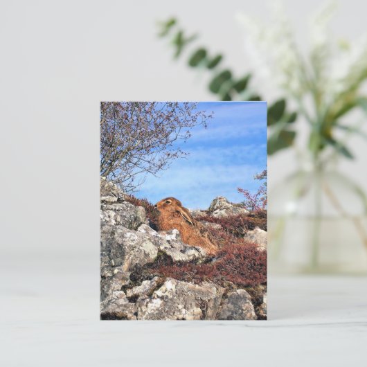 HÜHNE POSTKARTE (Stehend Vorderseite)