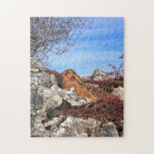 HÜHNE PUZZLE (Vertikal)