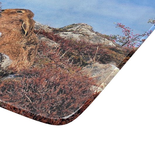 HÜHNE SCHNEIDEBRETT (Ecke)