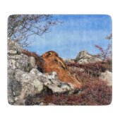 HÜHNE SCHNEIDEBRETT (Vorderseite)