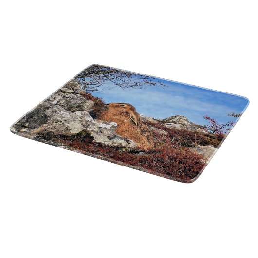 HÜHNE SCHNEIDEBRETT (Ecke)