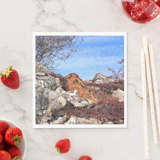 HÜHNE SERVIETTE (Beispiel)