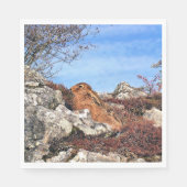 HÜHNE SERVIETTE (Vorderseite)