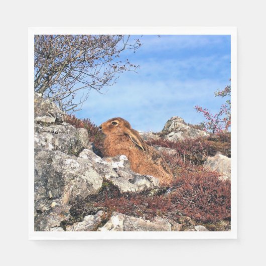 HÜHNE SERVIETTE (Vorderseite)