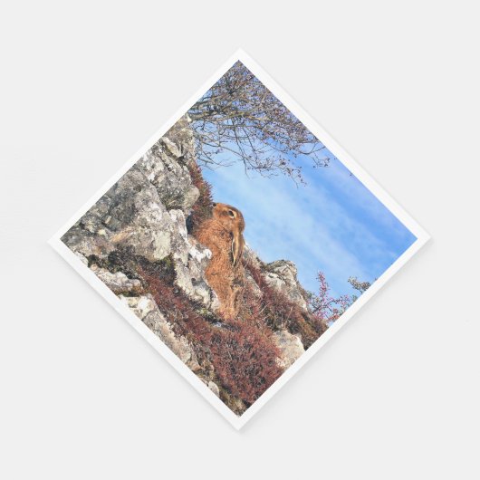 HÜHNE SERVIETTE (Ecke)