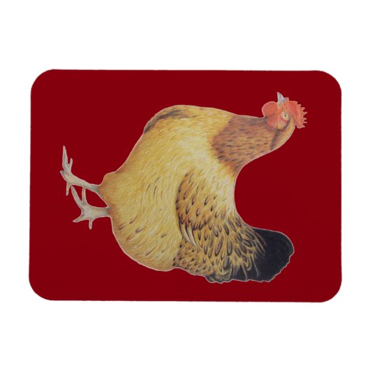 Hühner 2012 magnet (Horizontal)