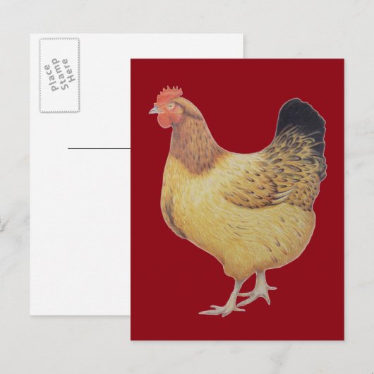 Hühner 2012 postkarte (Vorne/Hinten)