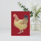 Hühner 2012 postkarte (Stehend Vorderseite)