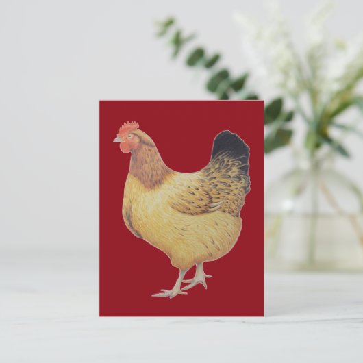 Hühner 2012 postkarte (Stehend Vorderseite)