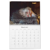 Hühner 2014 (mit Bibel-Durchgängen) Kalender (Mär 2027)