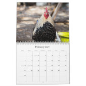 Hühner 2014 (mit Bibel-Durchgängen) Kalender (Feb 2027)