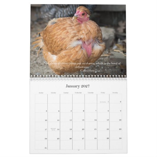 Hühner 2014 (mit Bibel-Durchgängen) Kalender (Jan 2027)