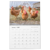 Hühner 2019 - Glücklicher Erntebauernhof Kalender (Jan 2027)