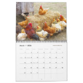 Hühner 2019 - Glücklicher Erntebauernhof Kalender (Mär 2026)