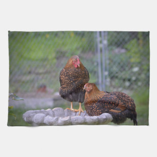 Hühner auf Birdbad Küchentücher