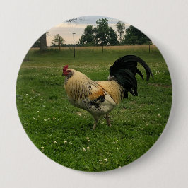 Hühner auf dem Bauernhof Foto Button