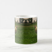 Hühner auf dem Bauernhof Foto Kaffeetasse (Mittel)