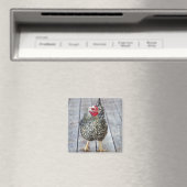 Hühner auf Holzdeck, Silver Laced Wyandotte Magnet (In Situ (Geschirrspüler))