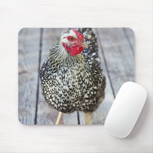 Hühner auf Holzdeck, Silver Laced Wyandotte Mousepad (Mit Mouse)