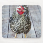 Hühner auf Holzdeck, Silver Laced Wyandotte Mousepad (Vorne)