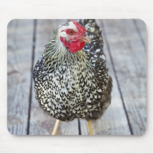Hühner auf Holzdeck, Silver Laced Wyandotte Mousepad