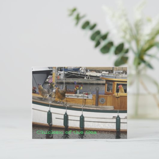 Hühner auf See - Spaß Postkarte (Stehend Vorderseite)