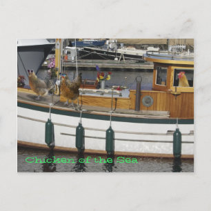 Hühner auf See - Spaß Postkarte