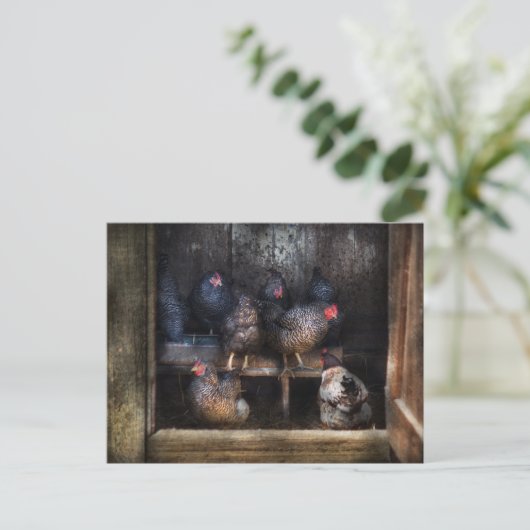 Hühner - Das Hen House Postkarte (Stehend Vorderseite)