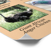 Hühner des humorvollen Weltposters Poster (Ecke)