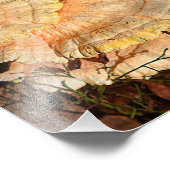 Hühner des Wald Pilz Foto drucken (Ecke)