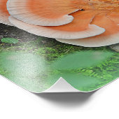 Hühner des Wald Pilz Foto drucken (Ecke)