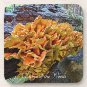 Hühner des Wald Pilz-Fotos Getränkeuntersetzer (Vorderseite)