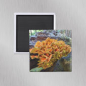 Hühner des Wald Pilz-Fotos Magnet