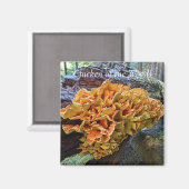 Hühner des Wald Pilz-Fotos Magnet (Vorderseite/Rückseite)